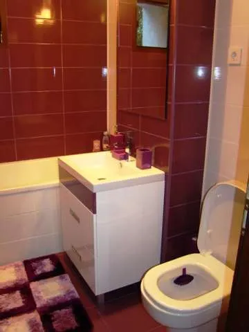 REGIM HOTELIER GALATI APARTAMENT 1 CAMERA - Imaginea 2