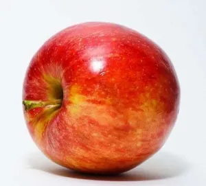pomi fructiferi