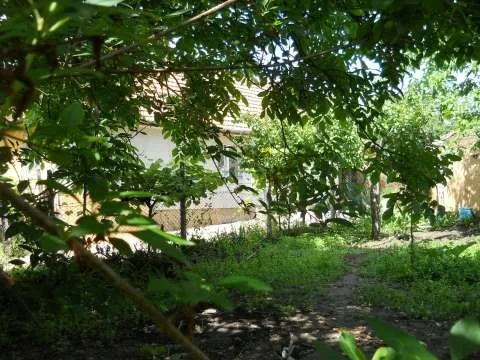Vand casa in Lugoj - Imaginea 2