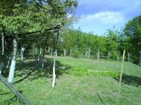 vand casa si teren foarte mare intravilan strada vrancei obor focsani foarte ieftin - Imaginea 1