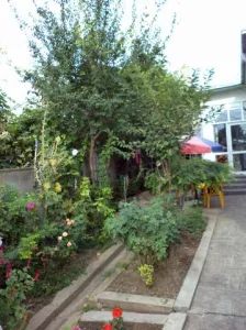 URGENT Vand Casa Zona Ultracentrala, Giurgiu