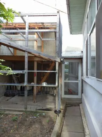 URGENT Vand Casa Zona Ultracentrala, Giurgiu - Imaginea 3