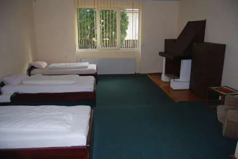 Casa 7 camere cu 2 apartamente - Imaginea 2