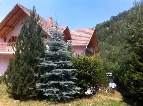 Vand vila Hateg (Parcul National Retezat) - Imaginea 1
