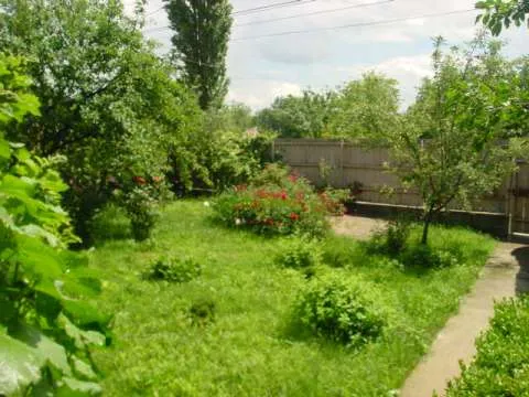 Vand casa in Panciu s=250mp complet functionala , 3000mp curte cu livada sau schimb cu apartament Focsani - Imaginea 3