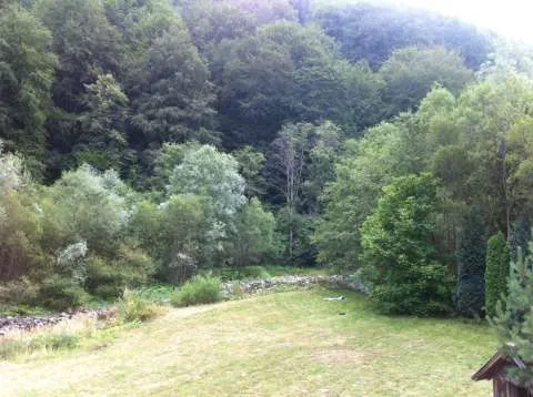 Vand vila Hateg (Parcul National Retezat) - Imaginea 11