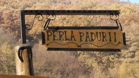 de vanzare proiectul imobiliar Perla Padurii in Dej - Imaginea 4