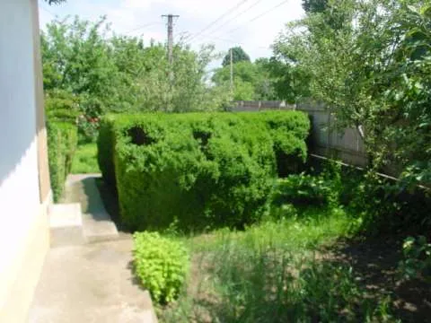 Vand casa in Panciu s=250mp complet functionala , 3000mp curte cu livada sau schimb cu apartament Focsani - Imaginea 7