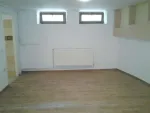particular inchiriez apartament in vila parter+demisol vila ultracentral - Miniatura 6