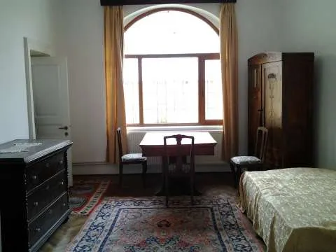 particular inchiriez apartament in vila parter+demisol vila ultracentral - Imaginea 7