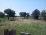 Teren Intravilan Drum European E 70 Caracal- Craiova - Miniatura 1