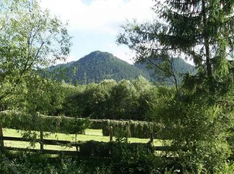 Teren in Pojorata ( Bucovina) la pret atractiv - Imaginea 3