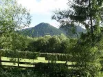 Teren in Pojorata ( Bucovina) la pret atractiv - Miniatura 3