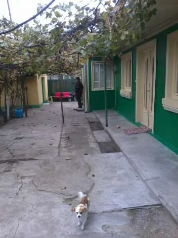 casa 3 camere teren 528metri patrati - Imaginea 4