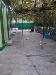 casa 3 camere teren 528metri patrati - Miniatura 5