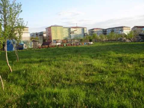 teren intravilan  ,pentru constructii - Imaginea 2