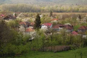 Casa si teren in Magura/Buzau