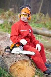Munca in domeniu forestier si spatii verzi