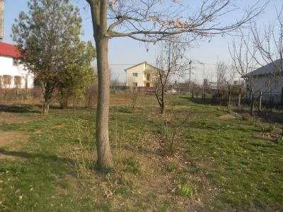 Buftea teren 1000 mp, ingradit 38. 000 euro - Imaginea 1