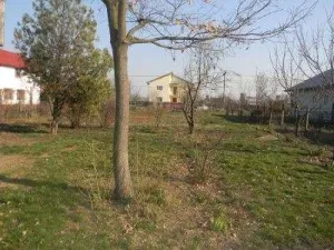 Buftea teren 1000 mp, ingradit 38. 000 euro