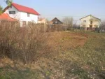 Buftea teren 1000 mp, ingradit 38. 000 euro - Miniatura 3