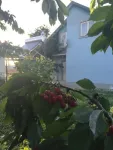 Avantajos - Casa cu etaj+Teren Vanatori - Miniatura 6