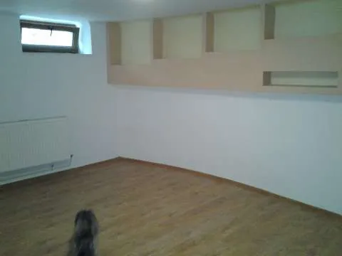 ultracentral proprietar inchiriez 7 camere in vila demisol+parter - Imaginea 6