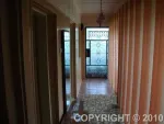 VAND CASA SI TEREN IN BAICOI PH - Miniatura 3