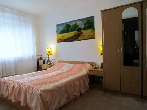 Vand apartament in Baile Herculane - Imaginea 3
