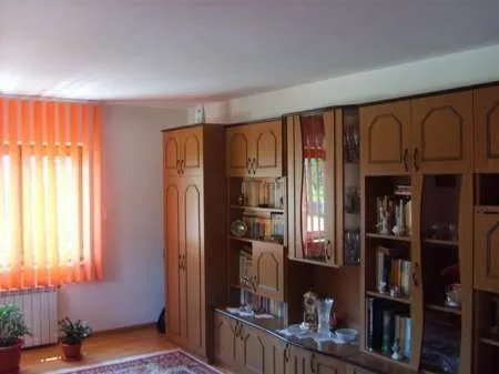Agentie vand vila Moinesti - Imaginea 2