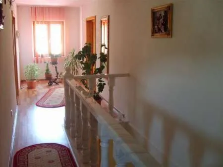 Agentie vand vila Moinesti - Imaginea 3