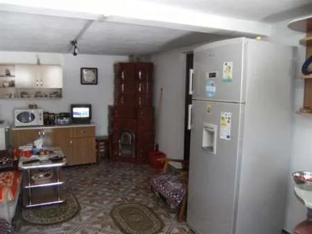 Agentie vand vila Moinesti - Imaginea 6