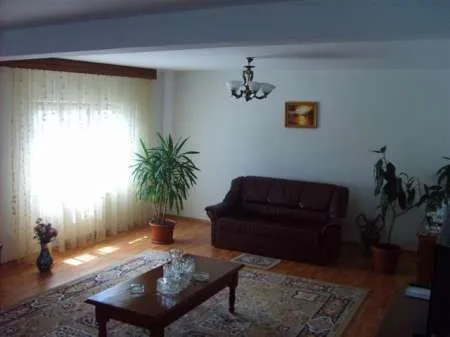 Agentie vand vila Moinesti - Imaginea 8