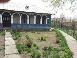 vand casa la curte 