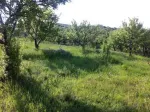 Vand / schimba cu apartament 5000 m livada zona Tomesti / Podul Vatafului - Miniatura 1