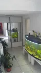 casa la facaeni - Miniatura 7