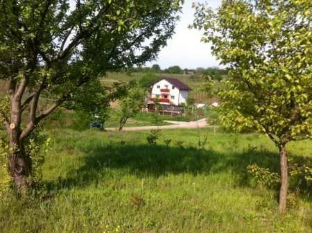 Vand / schimba cu apartament 5000 m livada zona Tomesti / Podul Vatafului - Imaginea 4