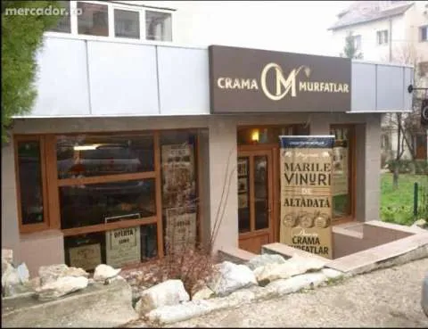Spatiu comercial zona Bradet - 93 mp CU AFACERE - Imaginea 1