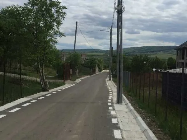 Vand / schimba cu apartament 5000 m livada zona Tomesti / Podul Vatafului - Imaginea 6