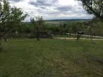 Vand / schimba cu apartament 5000 m livada zona Tomesti / Podul Vatafului - Miniatura 10