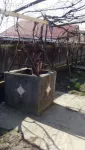 Vand casa + anexa + teren in Bogdanesti - Miniatura 6