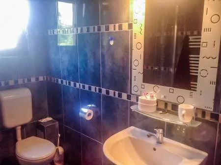 Proprietar vand vila 7 camere Provita de Sus - Imaginea 3