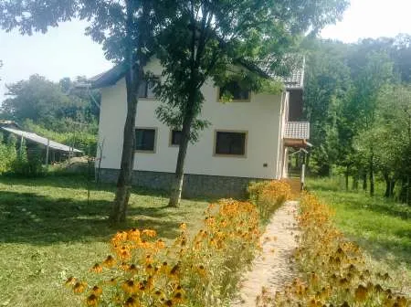 Proprietar vand vila 7 camere Provita de Sus - Imaginea 11