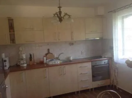 Proprietar vand vila 7 camere Provita de Sus - Imaginea 14
