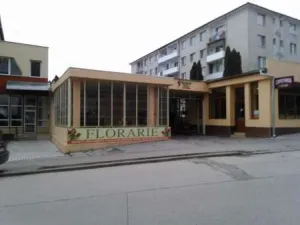 vand sau inchiriez spatiu comercial