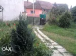 Vand casa - Miniatura 2