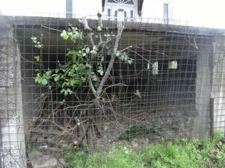 Agentie vand casa sat Goioasa - Imaginea 2