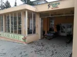 vand sau inchiriez spatiu comercial - Miniatura 2