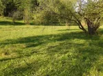 Oferta! Vand teren in localitatea Teisani, Jud. Prahova, suprafata 7000 mp, ideal pentru patravarie, helesteu - Miniatura 3