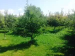 Vand vila cu livada in Pucioasa - Miniatura 1